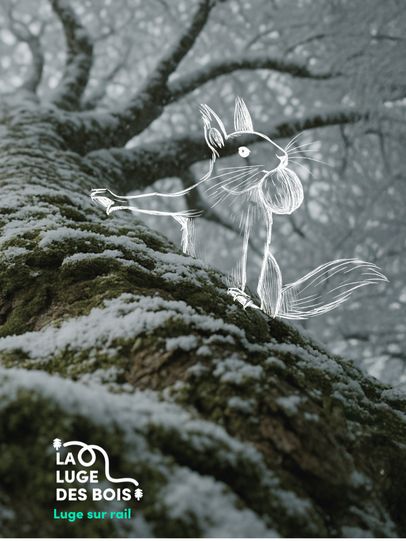 Nouvelle activité à La Clusaz, la luge des bois